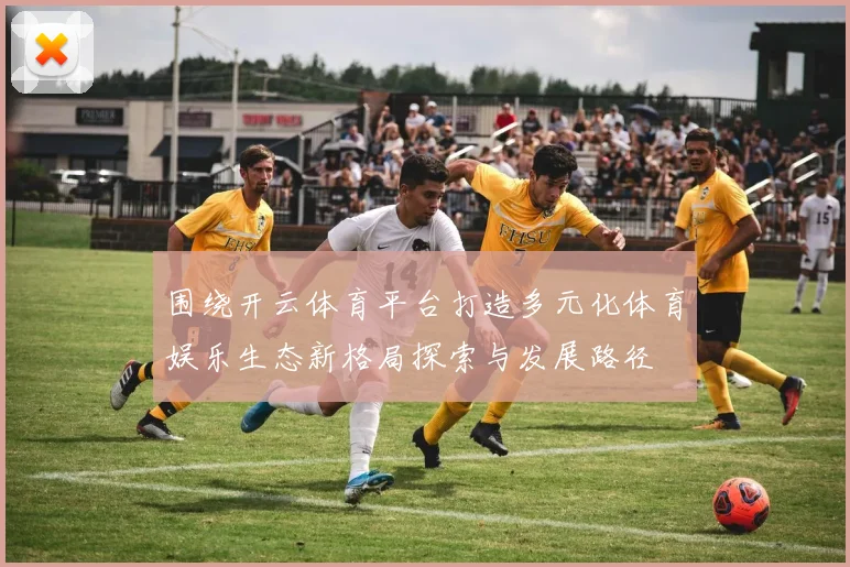 围绕开云体育平台打造多元化体育娱乐生态新格局探索与发展路径