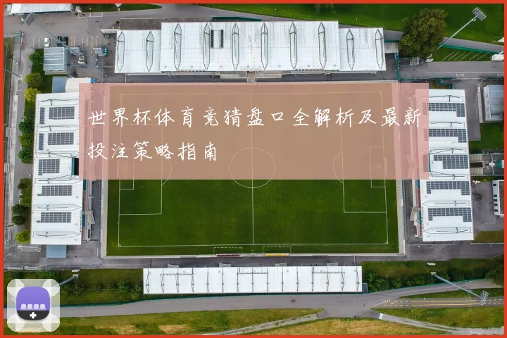 世界杯体育竞猜盘口全解析及最新投注策略指南