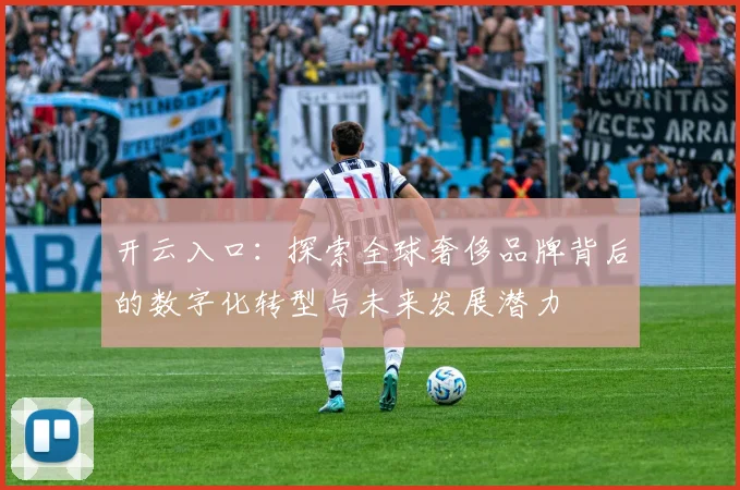 开云入口：探索全球奢侈品牌背后的数字化转型与未来发展潜力